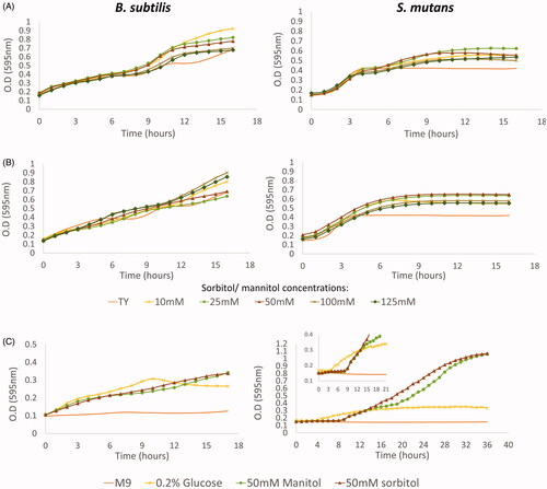 Figure 2. B. subtilis and S. mutans growth curves in the presence of sorbitol and mannitol. The bacteria were incubated at 37 °C. O.D (595nnm) measurements were taken every 1 h. A. S. mutans or B. subtilis cells were grown in TY medium supplemented with different concentrations of sorbitol, TY medium alone served as control. B. S. mutans or B. subtilis cells were grown in TY medium supplemented with different concentrations of mannitol, TY medium alone served as control. C. B. subtilis and S. mutans cells were grown in M9 minimal medium or M9 supplemented with 0.2% glucose, 50mM sorbitol or 50 mM mannitol. In both media, B. subtilis cells entered immediately to the log stage in all tested sugar concentrations. However, S. mutans had a long lag phase in M9 in the presence of either sorbitol or mannitol. The data are the mean values of two independent experiments, each formed in duplicate.