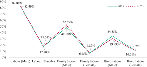 Figure 3. Percent of labour participation before and during COVID-19 .