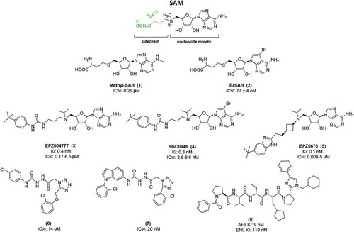 Figure 3. Structure of S-adenosyl-L-methionine (SAM) and DOT1L inhibitors.