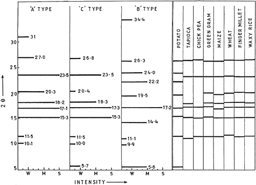Figure 2 Schematic Intensity plots at specific 2θ values of A, B and C type starches as per CitationZobel, 1964. Intensity scale: Weak (W), Medium (M), and Strong (S). The observed 2θ values for starches are indicated alongside for comparison.