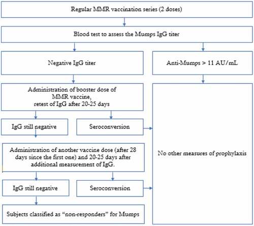 Flow-chart 1. Assessment biological risk for Mumps, in subjects who have basal vaccination series (two doses of MMR vaccine)