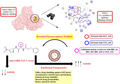 Figure 2. Rationale design for the synthesised N-(5-nitrothiazol-2-yl)-carboxamido derivatives as potential inhibitors of SARS-CoV-2 Mpro and the promising effect of the emulsomal nanoparticles.