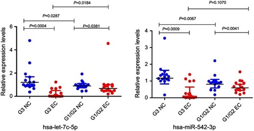 Figure 7 Quantitative real-time PCR validation for the expression of two miRNAs.Notes: The expression levels of two miRNAs were validated by qPCR in 30 patients. G3 NC, grade 3 non-cancerous endometrial tissue. G1/G2 NC, grades 1–2 non-cancerous endometrial tissue. G3 EC, grade 3 EC. G1/2 EC, grades 1–2 EC.