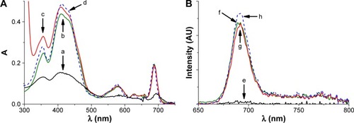 Figure 1 Absorption and emission spectra of VP in different media.Notes: (A) Absorption spectra of VP in water (a), methanol (d), and in Pluronic® (poloxamer) P123/F127 mixed micelles (10 mg) dispersed in water solution in the absence (b) and in the presence of SRB (c). (B) Fluorescence-emission spectra (λexc =580 nm) of VP in water (e), methanol (h), and poloxamer micelles dispersed in water solution in the absence (f) and presence of SRB (g). VP and SRB concentrations were 4 and 100 μg·mL−1, respectively.Abbreviations: A, absorption; VP, verteporfin; SRB, sorafenib.