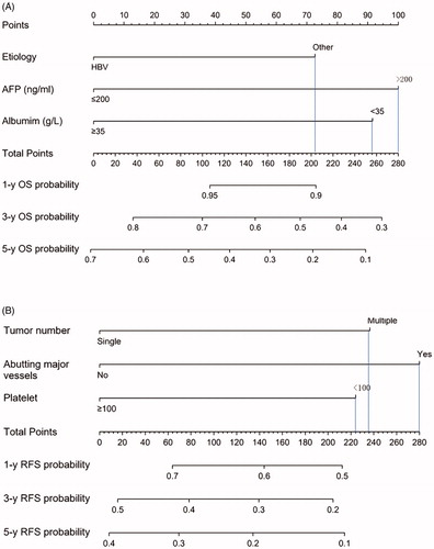Figure 3. The nomogram was developed in the training dataset. (A) Nomogram shows assessment of 1-, 3- and 5-year OS of elderly patients with EHCC after MWA； (B) Nomogram shows assessment of 1-, 3- and 5-year RFS of elderly patients with EHCC after MWA.