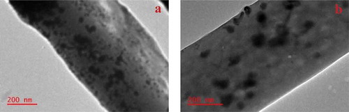 Figure 8. TEM images showing the distribution of the (a) Ag NPs and (b) Ag/Fe NPs on the surface of the nanofibers.