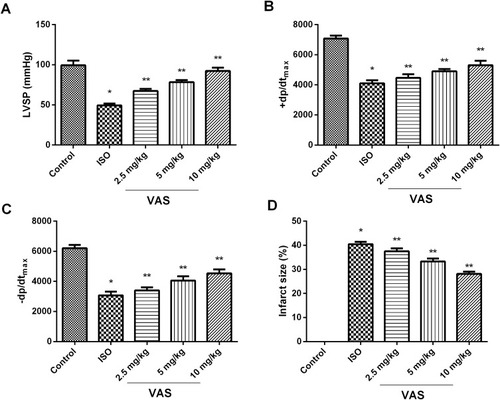 Figure 2 Effect of VAS on cardiac ability. (A) LVSP, (B) +dp/dtmax (C) –dp/dtmax, (D) infarct size. Values represent the mean ± SEM and are representative of three independent experiments. *P < 0.05 vs control; **P < 0.01 vs ISO.