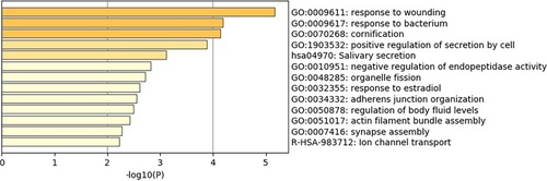 Figure 3 Top pathways shared by the DEGs in at least 2 of the 3 selected datasets. The graph was generated using metascape (http://metascape.org). The DEG are enriched in pathways related to response to wounding, bacteria, and regulation of cytokine secretion.