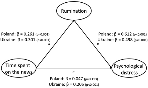 Figure 2 Final model of mediating effect.