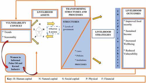 Figure 1. Conceptual framework.Source: Adapted from DFID (Citation1999). Sustainable Livelihoods Guidance Sheet.