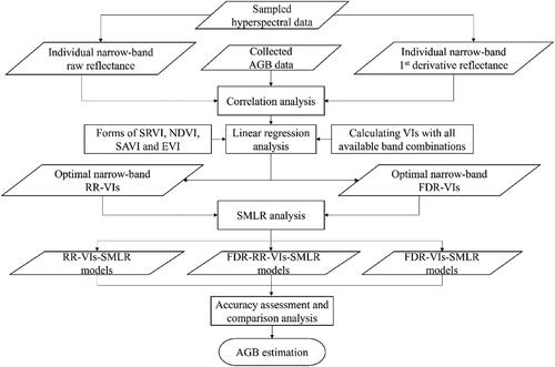 Figure 3. Flowchart of data processing and statistical analysis in this study.