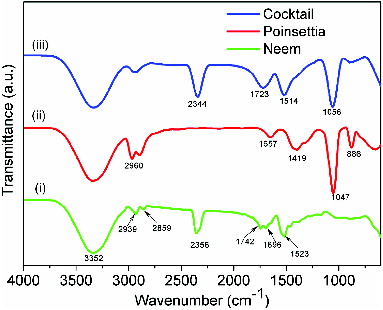Figure 5. FTIR spectra of natural dyes. (i) Neem, (ii) poinsettia and (iii) cocktail.