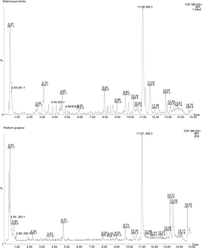 Figure 1.  LC-MS chromatograms of the different crude plant extracts.