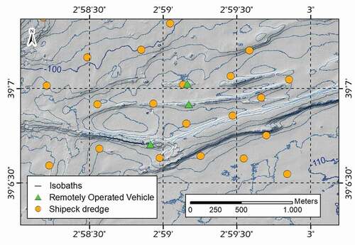 Figure 4. Overview of ground-truthing stations superimposed on bathymetry hill shade with a contour interval of 1 m. Sediment samples (orange circles) and camera stations (green triangles)’ location at the study area
