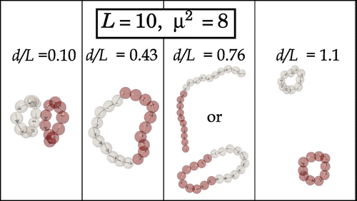 Figure 4. (Colour online) Typical structural motifs formed by linear SMPs with and at a given relative separation d / L between the fixed central particles.