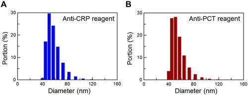 Figure 3 Magnitude and distribution of the anti-CRP and anti-PCT magnetic reagents determined by dynamic laser scattering. (A) The reagent with anti-CRP antibodies. (B) The reagent with anti-PCT antibodies.