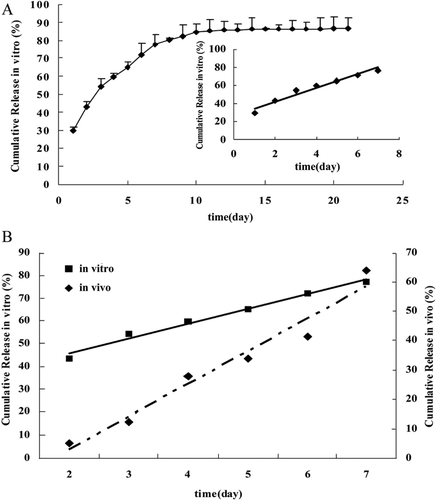 Figure 2.  The cumulative release-time curve of 5-FU from the PLGA micro-device. (A)In vitro release of 5-FU from PLGA micro-device in 50mL of normal saline at 37°C. Error bars are expressed as standard error (n = 3). Inset: Correlation (r = 0.9928) in vitro release of 5-FU from day 1 to day 7. (B) Linear correlation of the in vitro cumulative release-time and in vivo cumulative release-time.