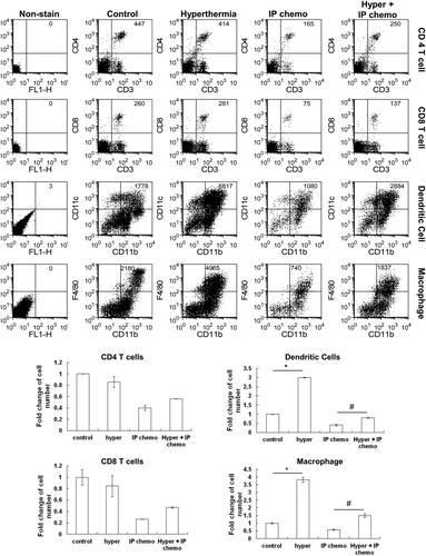 Figure 4. Analysis of peritoneal exudate cell population change after IP hyperthermia or HIPEC. C57BL/6 mice underwent either IP hyperthermia or hyperthermic IP chemotherapy. Three days later, the peritoneal exudate cells were collected by IP lavage with 8 ml of lavage fluid. Flow cytometry was used to determine cell numbers and cell types. IP chemotherapy reduced numbers of all cell types, demonstrating inhibited host immunity. Hyperthermia increased numbers of macrophages and dendritic cells but not CD4+ and CD8+ T cells. This effect attenuated the cytotoxic effect of IP chemotherapy on these two cell types. N = 4 for each group. Error bars denote the standard errors. (#p < 0.05; *p < 0.01).