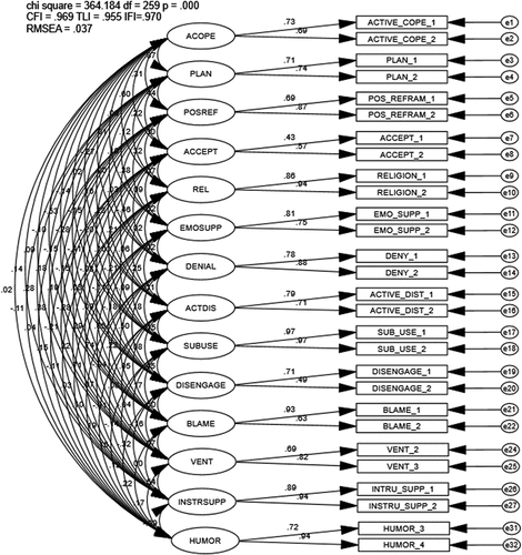 Figure 1. Confirmatory Factor Analysis First-Order Brief Cope