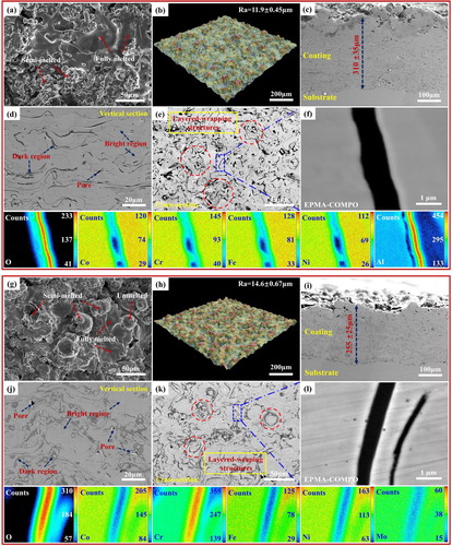 Figure 2. The original surface, three-dimensional surface, vertical sectional, cross-sectional morphologies, and the elemental-distribution maps by EPMA for CoCrFeNiAl (a - f) and CoCrFeNiMo (g - l) HECs.