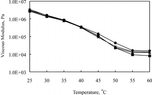 Figure 6. Effect of aging (•: 2, ▪: 4, ▴: 12, × : 24 wk) on viscous modulus (G ″) of 45.6% FDM Cheddar cheese during heating.