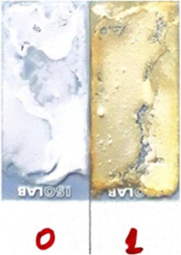 Figure 10. UV-exposed and unexposed PUU-microcapsules(0: UV untreated, 1: UV treated).