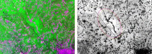 Figure 5.  Subset of the Landsat ETM + image of the study site (left) and NDVI map (right). The red ellipse denotes a strong vegetation area, covering almost the same area as the low backscattering coefficient area shown in Figure 3.