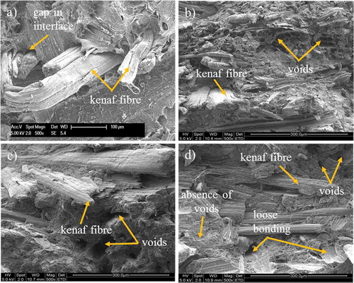 Figure 8. Morphological analysis of tensile-fractured samples: (a) KeC; (b) KeC-IFR; (c) KeC-IFR+HNT; (d) KeC-IFR+MMT.