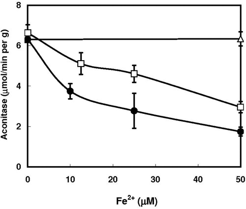 Figure 2. Effect of varying concentrations of ferrous sulfate on the inactivation of aconitase in permeabilized yeast cells. Experimental conditions were similar to those described in Figure 1, except that deferiprone concentration was kept at 0.5 mM, and FeSO4 concentrations were varied. ○, None; ●, 0.4 mM mimosine; □, 0.5 mM deferiprone.