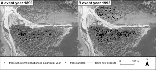 FIGURE 6 Spatial extent of a (A) debris flow (1899) and a (B) snow avalanche (1992) event, the position of trees with GD, as well as all trees available for analysis in these particular years.