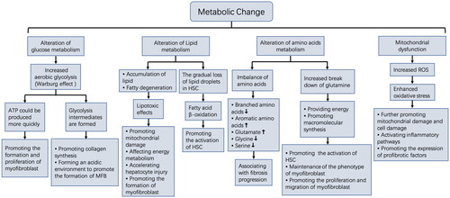 Figure 1. Metabolic changes in the liver microenvironment.