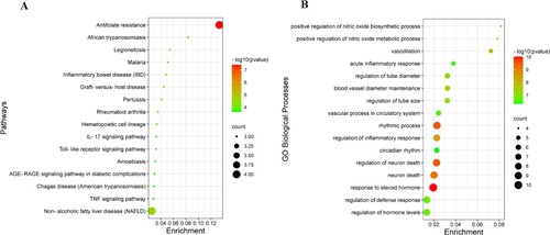 Figure 4. The enrichment analysis of 21 collective genes. (A) The KEGG enrichment analysis of the top 16 signaling pathways. (B) The GO enrichment analysis of the top 16 biological processes.