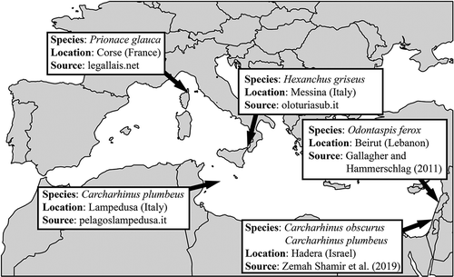 Figure 3. Diving spots in the Mediterranean Sea where shark encounters have been reported