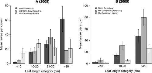 Figure 1  Mean number (± SEM) of Trichosirocalus horridus larvae (all instars) per Carduus nutans crown (A) at four leaf-length categories in 2005 and (B) at three categories in 2006, in three regions of Canterbury (Culverden, Rakaia Gorge, Ashburton), in experiment 1. Missing error bar in Rakaia Gorge region in 2005 in the size category >30 is due to the presence of only one rosette in this category.