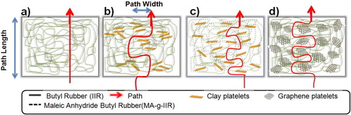 Figure 10. Schematic representation of tortuous path and dispersion in a IIR, b IIR-Cloisite10A, c MA-g-IIR-Cloisite10A, and d IIR-RGO nanocomposites
