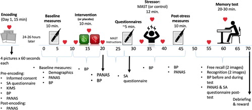 Figure 1. Study timeline and procedure.Note: SA = stress appraisal. KIMS = Kentucky Inventory of Mindfulness Skills. PANAS = Positive and Negative Affect Schedule. Display full size and BP = blood pressure. MAST = Maastricht Acute Stress Test.