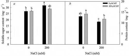 Figure 5. Soluble sugar concentration and total protein concentration in L. bicolor seeds after 2 days of treatment with different concentrations of melatonin (MT) (0 µM, 200 µM) under 0 and 200 mM NaCl conditions. A: soluble sugar concentration; B: total protein concentration. Values are mean ± standard deviation of three biological replicates. Bars with different letters are significantly different at P < .05 according to Duncan’s multiple range tests.