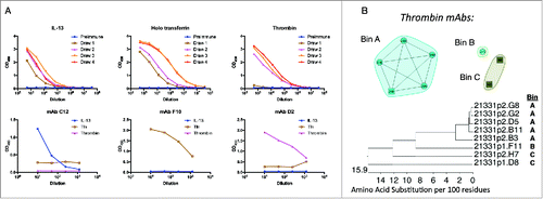 Figure 3. Individual OmniChickens raise specific mAbs to multiple targets. Birds were immunized with a cocktail of mouse IL-13, human transferrin and bovine thrombin, human transferrin, and mouse IL-13. A, Plasma titers to each immunogen from a single bird are shown over multiple draws (top set of graphs). Panels of mAbs to each antigen were identified from that bird, and antigen-specific binding of a single representative mAb for each target is shown (bottom set of graphs). B, epitope binning of eight thrombin antibodies shows three distinct bins. C, phylogenetic tree of the 8 thrombin antibodies, with the epitope bin indicated at right.