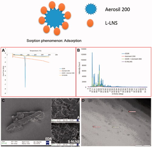 Figure 2. Graphical representation of sorption phenomena. Overlay of the DSC patterns (A), and PXRD patterns (B) of EDR, Aerosil® 200, Physical mixture of EDR and Aerosil® 200 and S-LNS. SEM images (C) of EDR, Aerosil® 200 and S-LNS. TEM image (D) of microemulsion formed after dilution of S-LNS in water. Data of DSC, PXRD, and SEM for EDR were adopted from the earlier report. EDR: Edaravone and A: Aerosil 200.