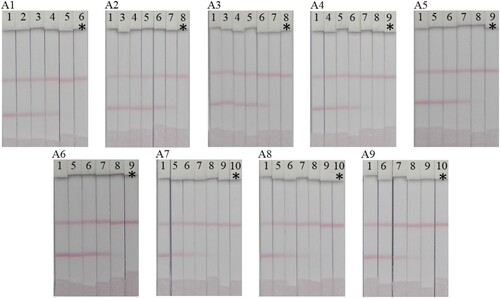 Figure 6. Lateral flow test strips of nine FQ compounds in 0.01 M PBS assay (A1) PEF, (A2) NOR, (A3) CIPRO, (A4) ENO, (A5) FLE, (A6) PF, (A7) OFL, (A8) SARA and (A9) LOM. Various analyte concentrations; (1 = 0, 2 = 0.1, 3 = 0.25, 4 = 0.5, 5 = 1.0, 6 = 2.5, 7 = 5, 8 = 10, 9 = 25, and 10 = 50 ng/mL). *The visual cut off value.