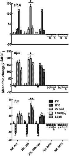 Figure 5. Expression of regulatory genes that participate in iron uptake and sequestration during stress exposure.