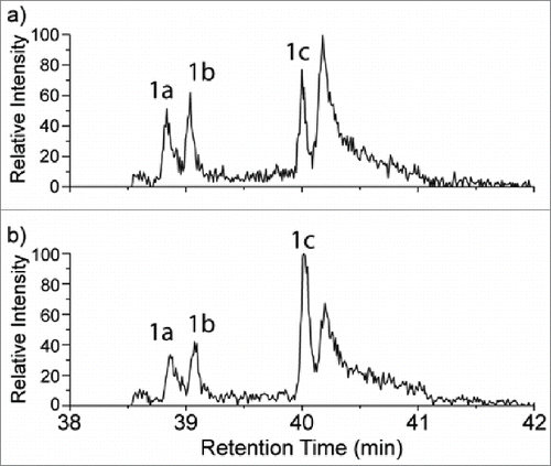 Figure 6. A portion of the extracted ion chromatograms (XICs) at m/z 854.0789 for the mAb1 tryptic digests both without (6a) and with (6b) addition of the synthetic Hyl-containing peptide. Peak 1c in each chromatogram corresponds to the retention times of both the native +16 Da peptide (6a) and the combined native and spiked Hyl-containing peptide (6b). Peaks 1a and 1b were identified as the oxidized tryptophan form of the peptide, which is isobaric with the Hyl-containing peptide.