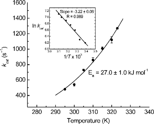 Figure 2.  Temperature dependence of kcat for calf-intestine APase catalyzed pNPP dephosphorylation.