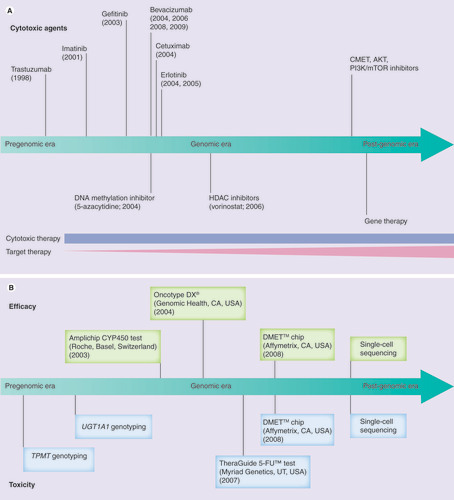 Figure 1. Timeline of pharmacogenetic prognostic tools and drug development from 2000 to 2020. (A) Time of approval of various cancer therapies based on US FDA approval time. (B) Timeline to show the establishment of pharmacogenetic prognostic tools.DMET: Drug-metabolizing enzymes and transporters; HDAC: Histone deacetylase.