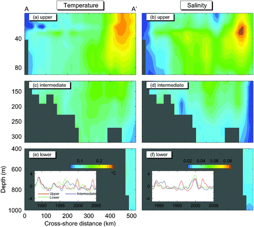 Fig. 13 Vertical distributions of spatial amplitude functions (S 1) of the first CEOF for the temperature (left panels) and salinity (right panels) anomalies in the upper (upper panels), intermediate (middle panels) and lower (lower panels) layers along section AA′ at White Bay on the northern Newfoundland Shelf.