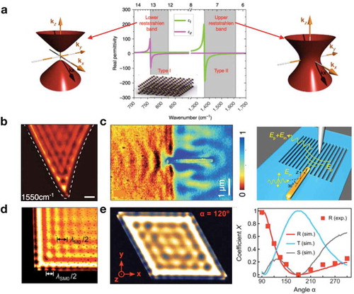 Figure 13. Hyperbolic phonon polaritons (HPPs) in boron nitride. (a) Hyperbolic behavior of natural hBN crystal, which gives two separate spectral bands called lower and upper Reststrahlen bands with opposite-signed in-plane (ε∥) and out-of-plane (ε⊥) dielectric permittivity [Citation105]. The corresponding hyperboloid-type dispersion of polaritons is shown in left (type 1) and right (type 2) panels. (b) Nano-infrared images of HPPs in a tapered hBN crystal [Citation49]. The incident frequency is 1550 cm−1. Scale bar, 800 nm. c) In-plane hyperbolic phonon polaritons in nano-patterning boron nitride crystal [Citation113]. Left panel: near-field image of concave wavefront of phonon polaritons in boron nitride metasurfaces. Right panel: schematic of the experiment. (d) Volume-confined polaritons (M0) and surface polaritons (SM0) near the edge of hBN crystal [Citation114]. The incident frequency is 1420 cm−1. Scale bar, 2 μm. e) Manipulation of hyperbolic surface polaritons with corner angle of hBN crystals [Citation115]. Left panel: representative near-field image with crystal angle of 120°. Right panel: simulated reflected (R), transmitted (T) and scattered (S) fractions of polaritons as a function of crystal angles. Red squares are experimental data. (a) Reproduced with permission [Citation105]. Copyright 2014, Nature Publishing Group. (b) Reproduced with permission [Citation49]. Copyright 2014, American Association for the advancement of Science. (c) Reproduced with permission [Citation113]. Copyright 2014, American Association for the advancement of Science. (d) Reproduced with permission [Citation114]. Copyright 2016, American Chemical Society. (e) Reproduced with permission [Citation115]. Copyright 2017, Wiley-VCH.