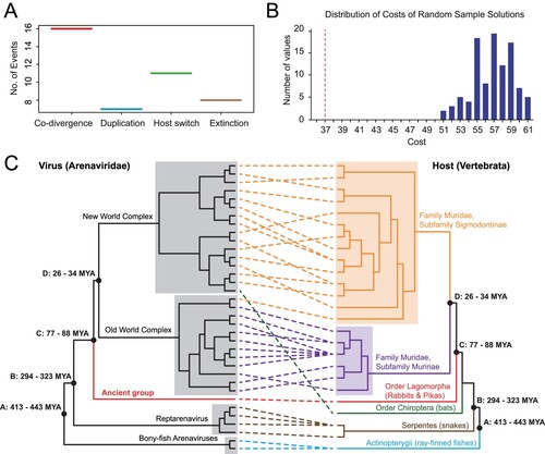 Figure 2. Co-divergence analyses of arenaviruses and their associated hosts. (A) Distribution of estimated co-divergence and non-codivergence (e.g. duplication, host switching, and extinction) events. (B) Estimated sum of non-codivergence events (red dotted line) in comparison to the associated null distributions under 100 randomizations of virus–host associations. (C) Comparisons of the topologies of virus and host phylogenetic trees. Well-established co-divergence points (black solid dots) are marked on the node. For these nodes, the divergence times of the host groups were used to calibrate the divergence times of the corresponding virus groups.