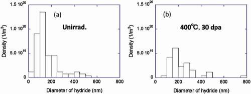Figure 15. Size distributions of δ-hydride: (a) unirradiated region exposed to the same heat conditions with a dose of 30 dpa at 400°C and (b) the peak-damage region of the sample irradiated with a dose of 30 dpa at 400°C.