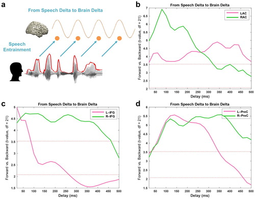 Figure 2. Entrained brain signals following speech. (a) A schematic figure for directed causal analysis: TE from speech delta phase to brain delta phase (positive delays between speech-brain). TE computation was performed for each condition (forward played and backward played) at each voxel from 20 to 500 ms with a 20-ms step. Orange line represents delta rhythm in the brain and each circle represents a certain point in time. TE values are averaged within each ROI from the AAL atlas and compared statistically between conditions. T-values are shown in each ROI bilaterally (pink: left hemisphere, green: right hemisphere): (b) primary auditory cortex (Heschl gyrus) (c) Inferior frontal gyrus – opercular part (BA44) (d) precentral gyrus. Statistical significance was shown with two red lines depicting t-values by paired t-test (upper red line: t21 = 3.53, p < 0.05, corrected; bottom red line: t21 = 2.08, p < 0.05, uncorrected).