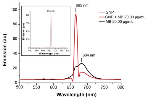 Figure 5 Fluorescence emission spectra of GNP (0.2 mg/mL), MB (20 μg/mL), and GNP–MB (20 μg/mL; MB) conjugate after excitation at 660 nm.Notes: In the presence of GNP (0.2 mg/mL), the fluorescence emission peak of MB quenches at 684 nm. In inset, GNP shows a maximum fluorescent emission peak at 665 nm.Abbreviations: GNP, gold nanoparticle; MB, methylene blue.